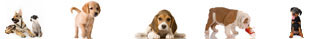 Countryside Animal Clinic photo 6